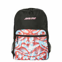 Santa Cruz Decoder Roskopp Backpack image